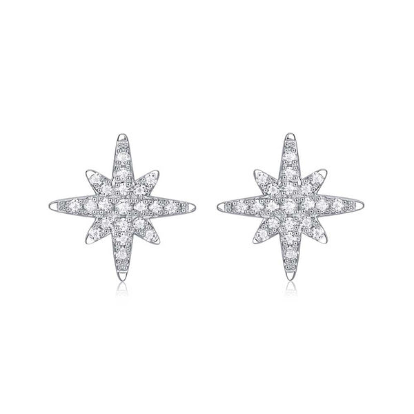 Round Shaped Cut Moissanite Meteor Sterling Silver Earrings